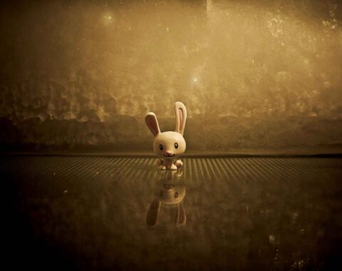 photo-1439436556258-1f7fab1bfd4f masterstudy_placeholder